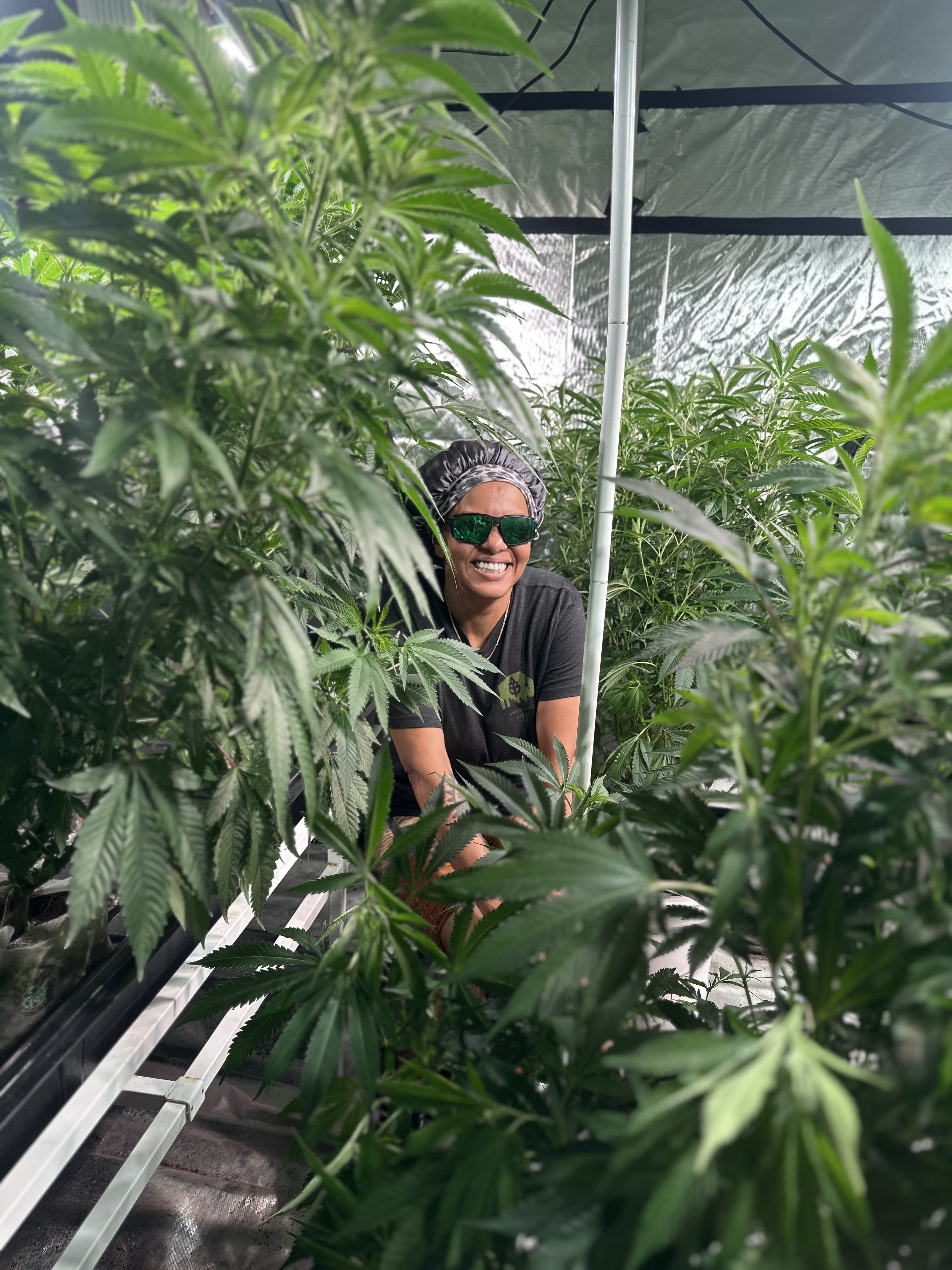 Inside the American Fiber Co. grow room
